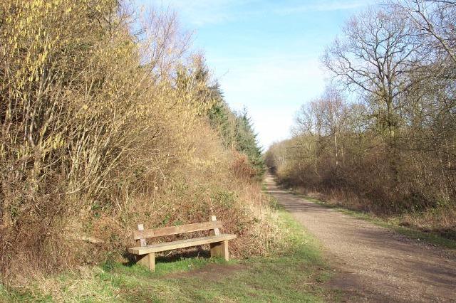 A wayside seat in Bourne Wood