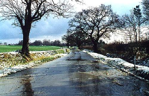 Photographed in March 1999