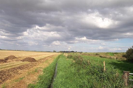 Thurlby Fen