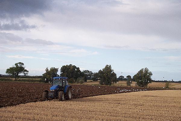 Ploughing between Bourne and Dyke village