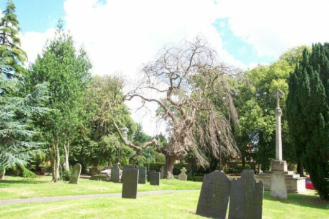 The churchyard