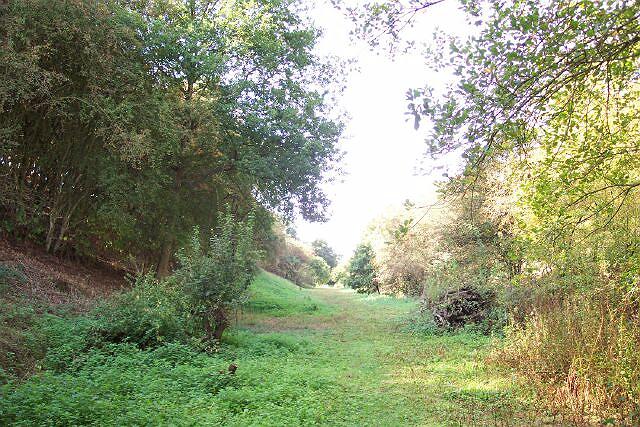 Western cutting at Toft Tunnel