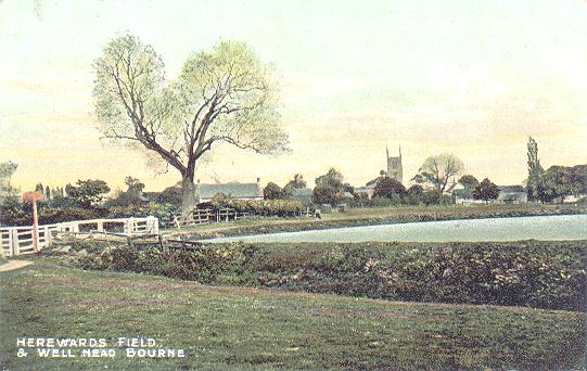 Hereward's Field in 1906