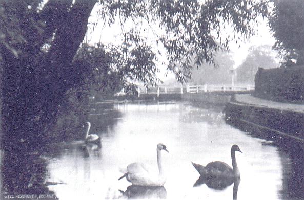 The pool in 1910