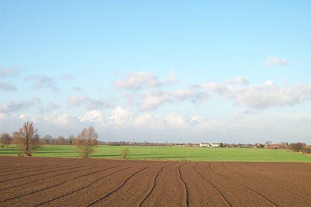 The fen in January