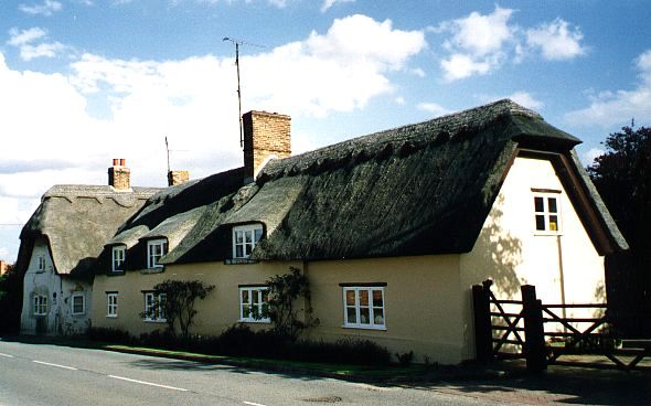 The Cottage