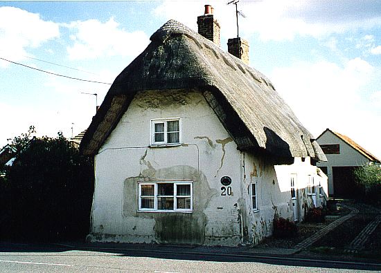 Strawberry Thatch