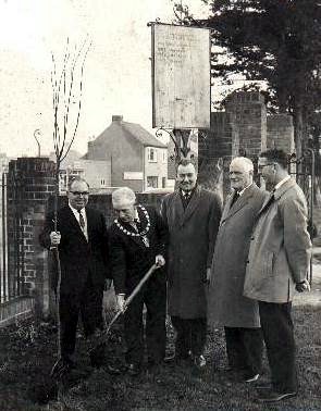 Tree planting in 1965