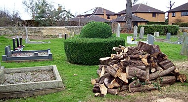 Photographed by Rex Needle