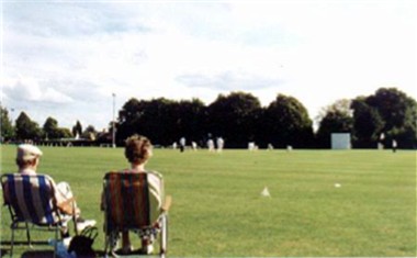 Photographed by Rex Needle