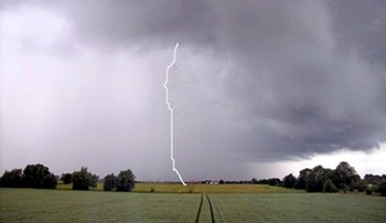 Photographed by Rex Needle