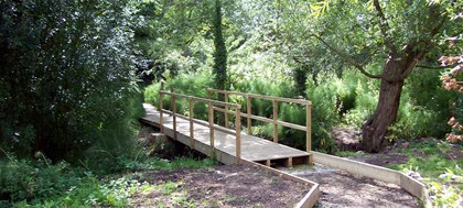 Photographed by Rex Needle