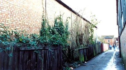 Photographed by Rex Needle