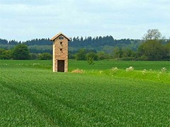 Photographed by Geoff Bell