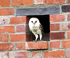 Photographed in June 2014