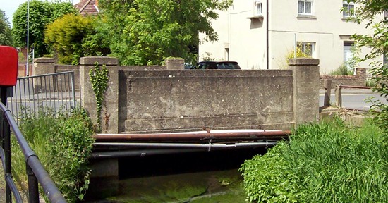 Photographed in May 2013